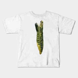 Rare and Expensive Variegated Philodendron Billietiae Design Kids T-Shirt